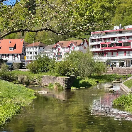 Hotel Harzer Am Kurpark Bad Herrenalb