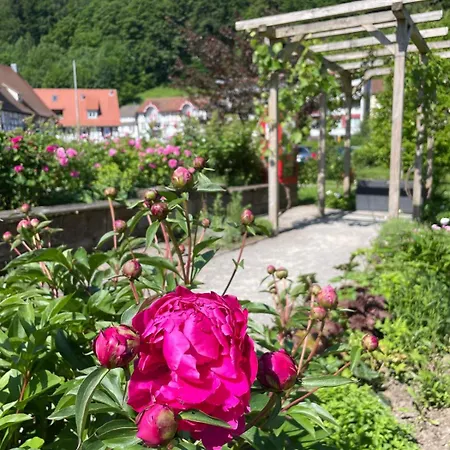 Harzer Am Kurpark Hotel Bad Herrenalb