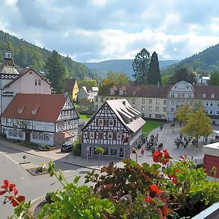 Harzer Am Kurpark 호텔