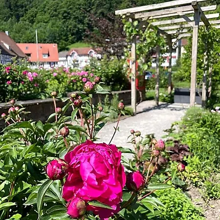 Harzer Am Kurpark 3*
