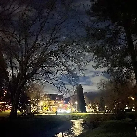 Harzer Am Kurpark 3* 바트헤른알브