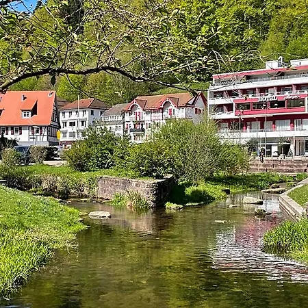 Harzer Am Kurpark 호텔