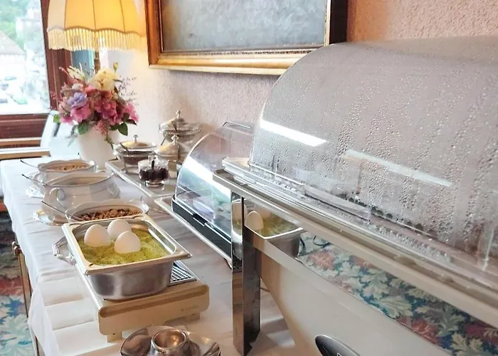 Harzer Am Kurpark Hotell